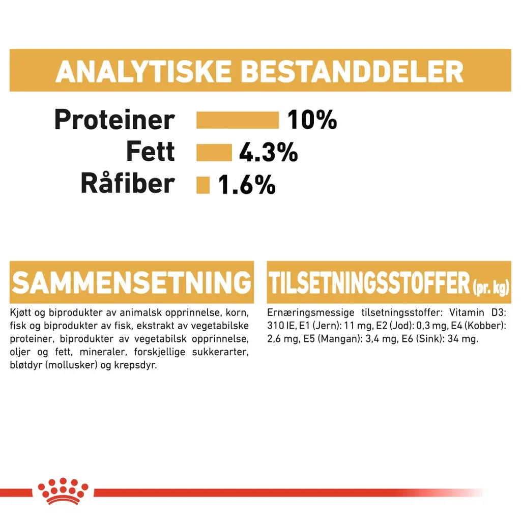 Maine Coon Adult 10 kg