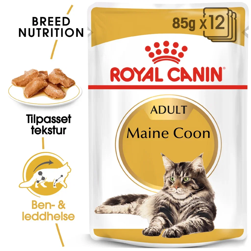 Maine Coon Adult 10 kg