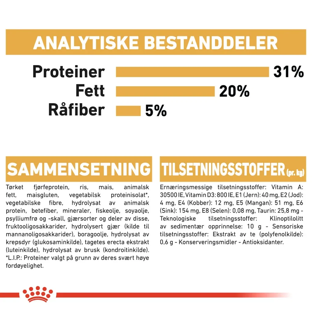 Maine Coon Adult 10 kg