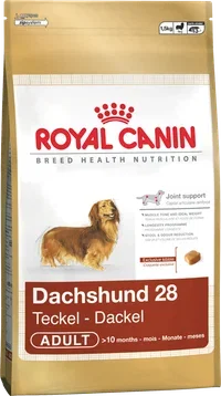 Dachshund Adult 1,5 kg
