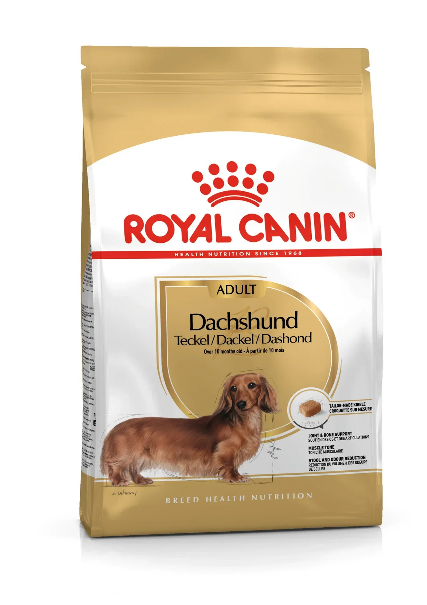 Dachshund Adult 1,5 kg