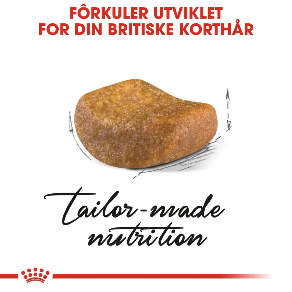 British Shorthair Adult 2 kg