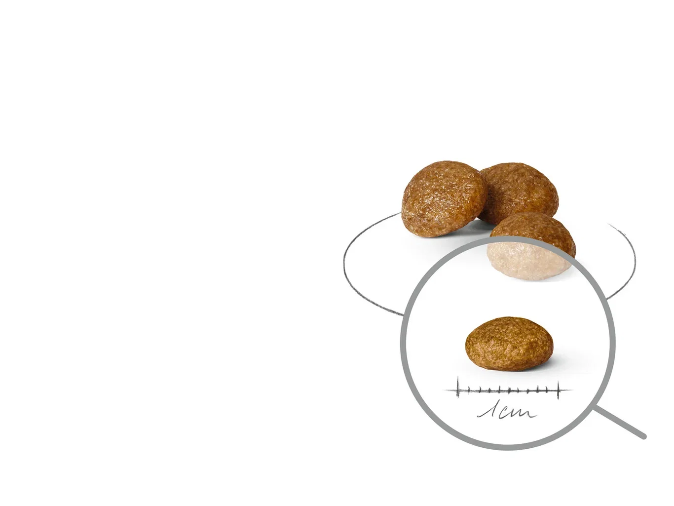 X-SMALL Adult 1,5 kg