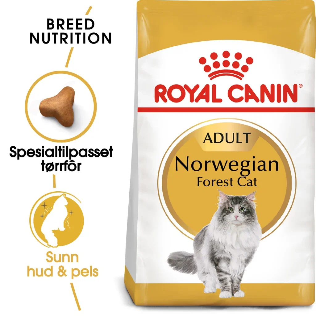 Norwegian Forest Cat Adult 2 kg