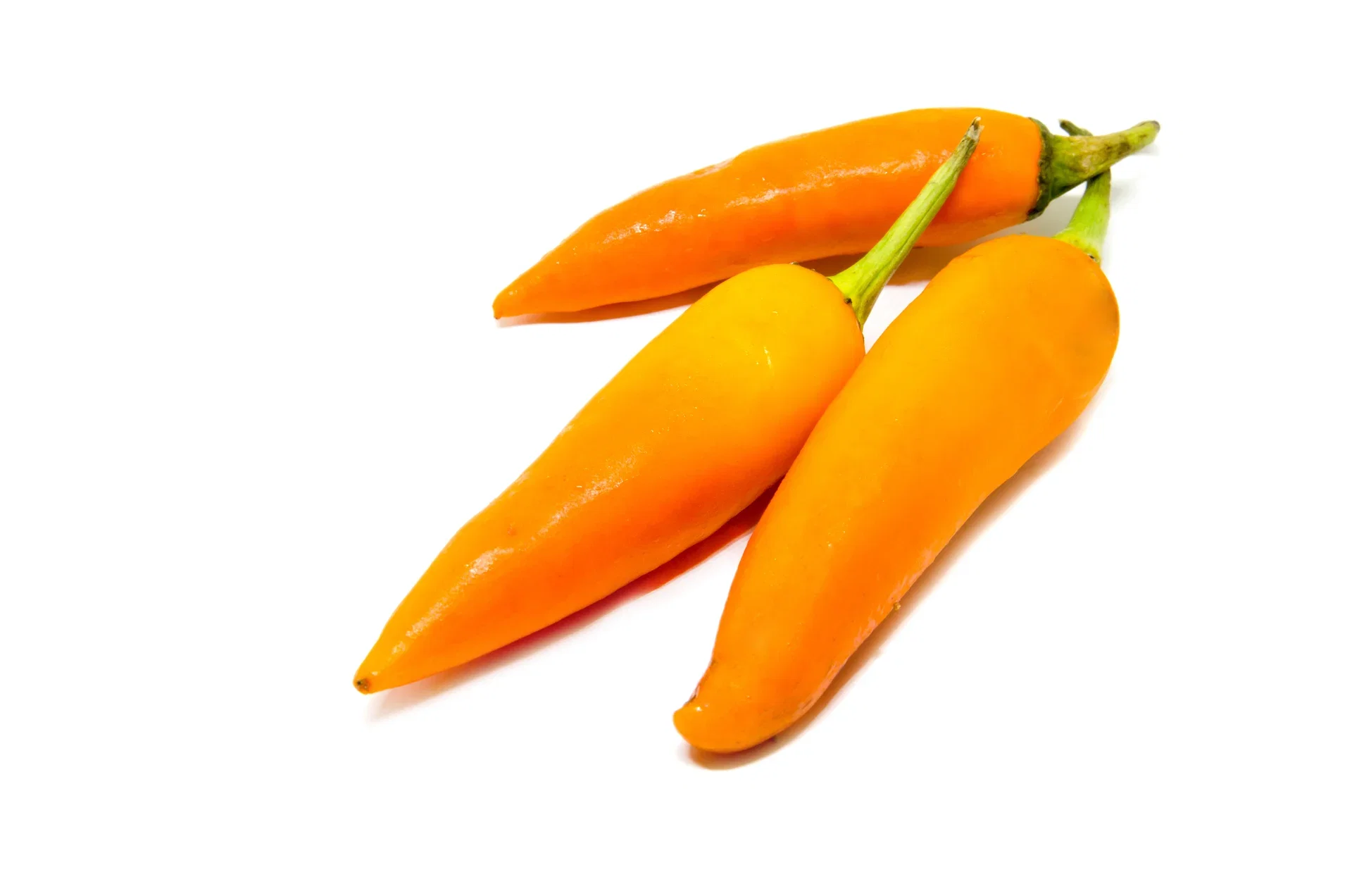 Chili 'Cheyenne'