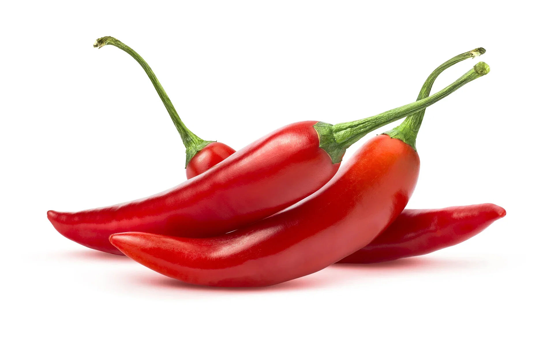 Chili 'Apache'