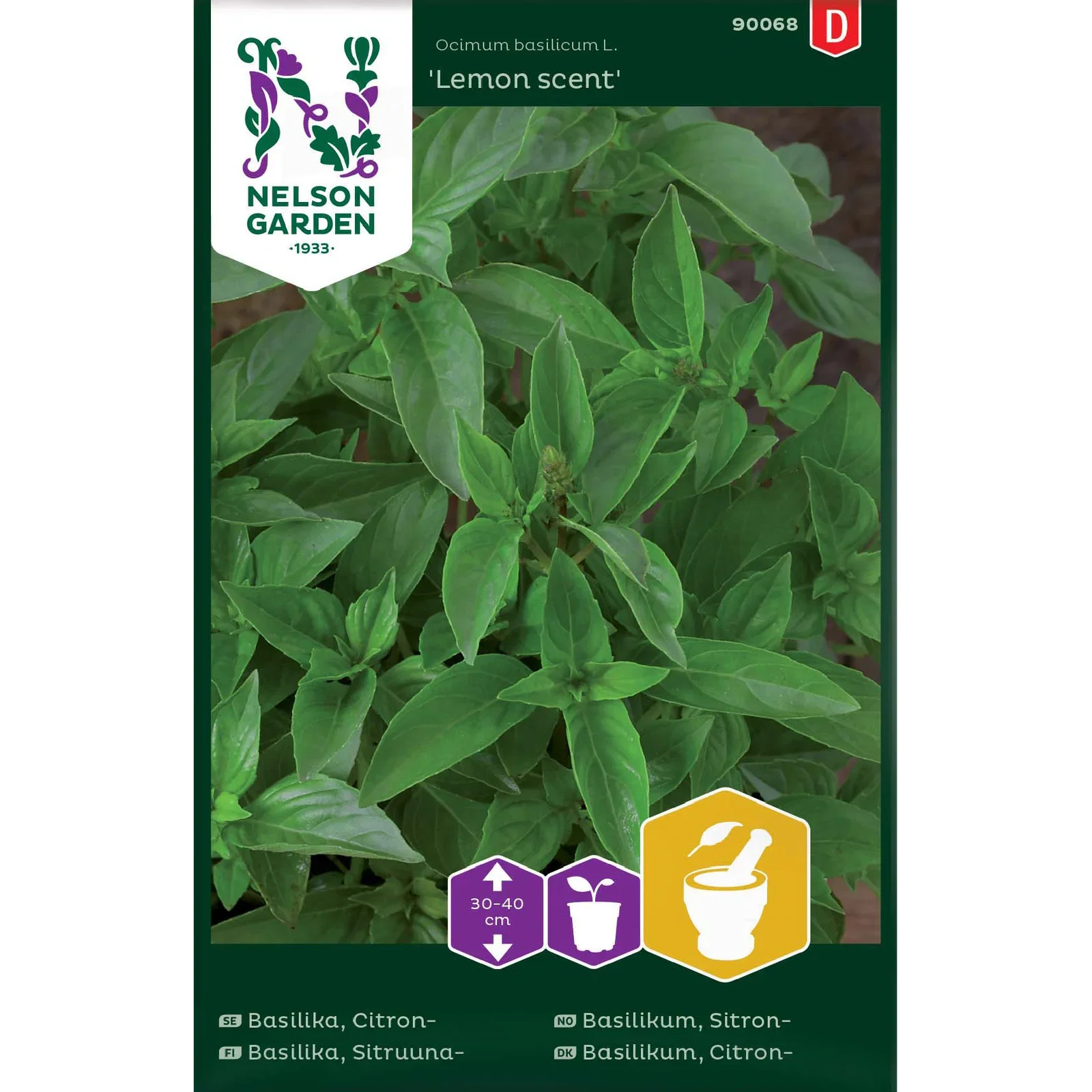 Citronbasilika 'Lemon scent'