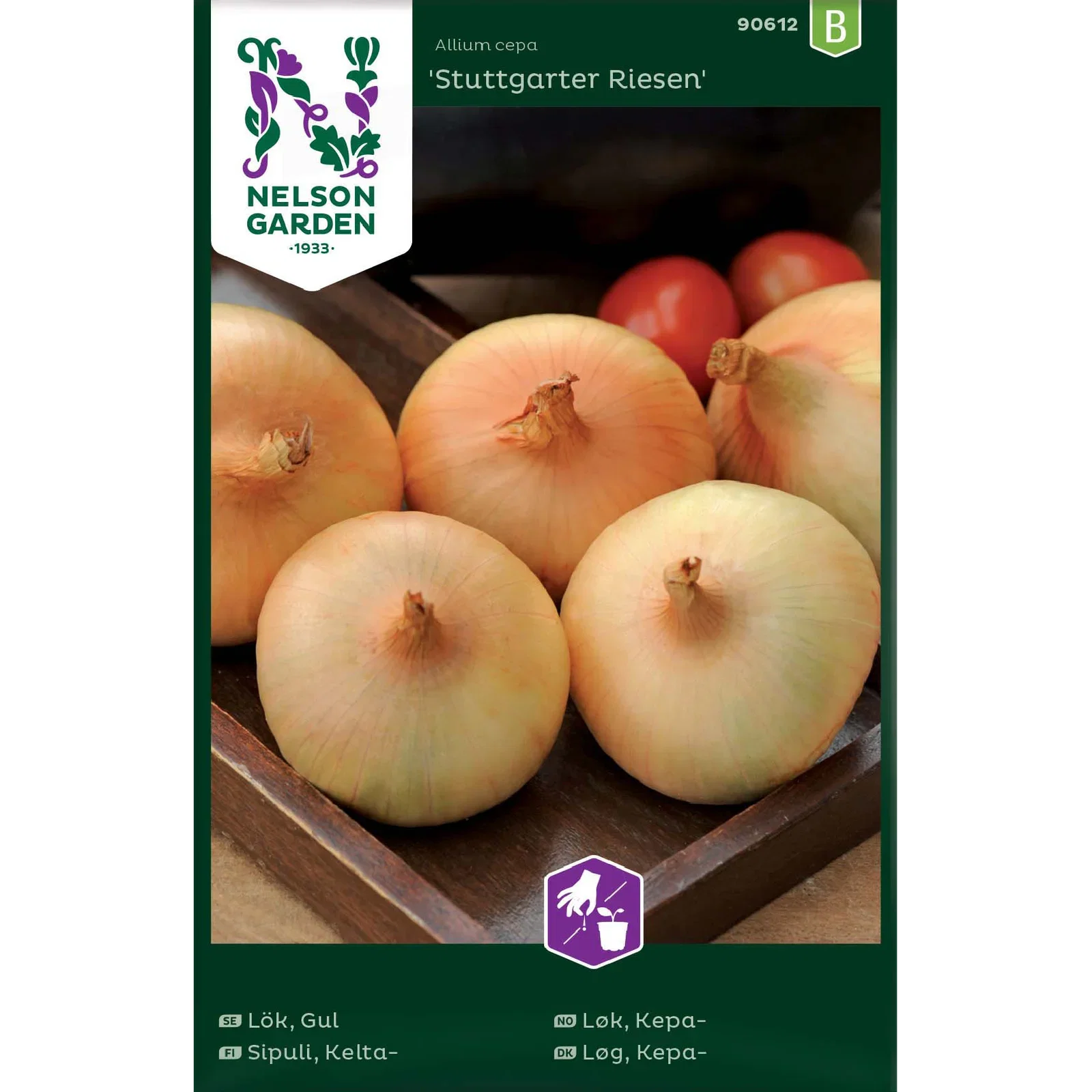 Gul lök 'Stuttgarter Riesen'