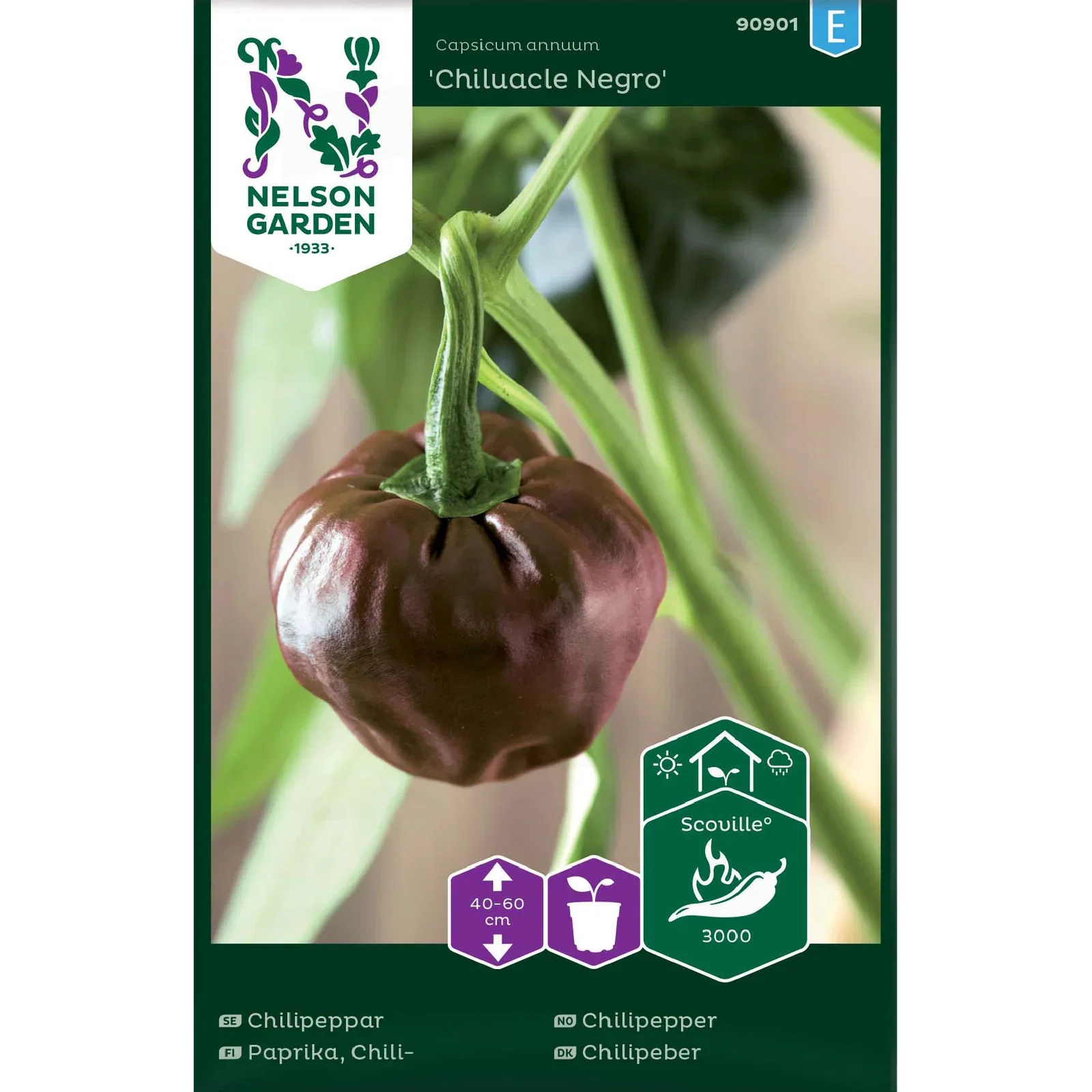 Chilipeppar 'Chiluacle Negro'