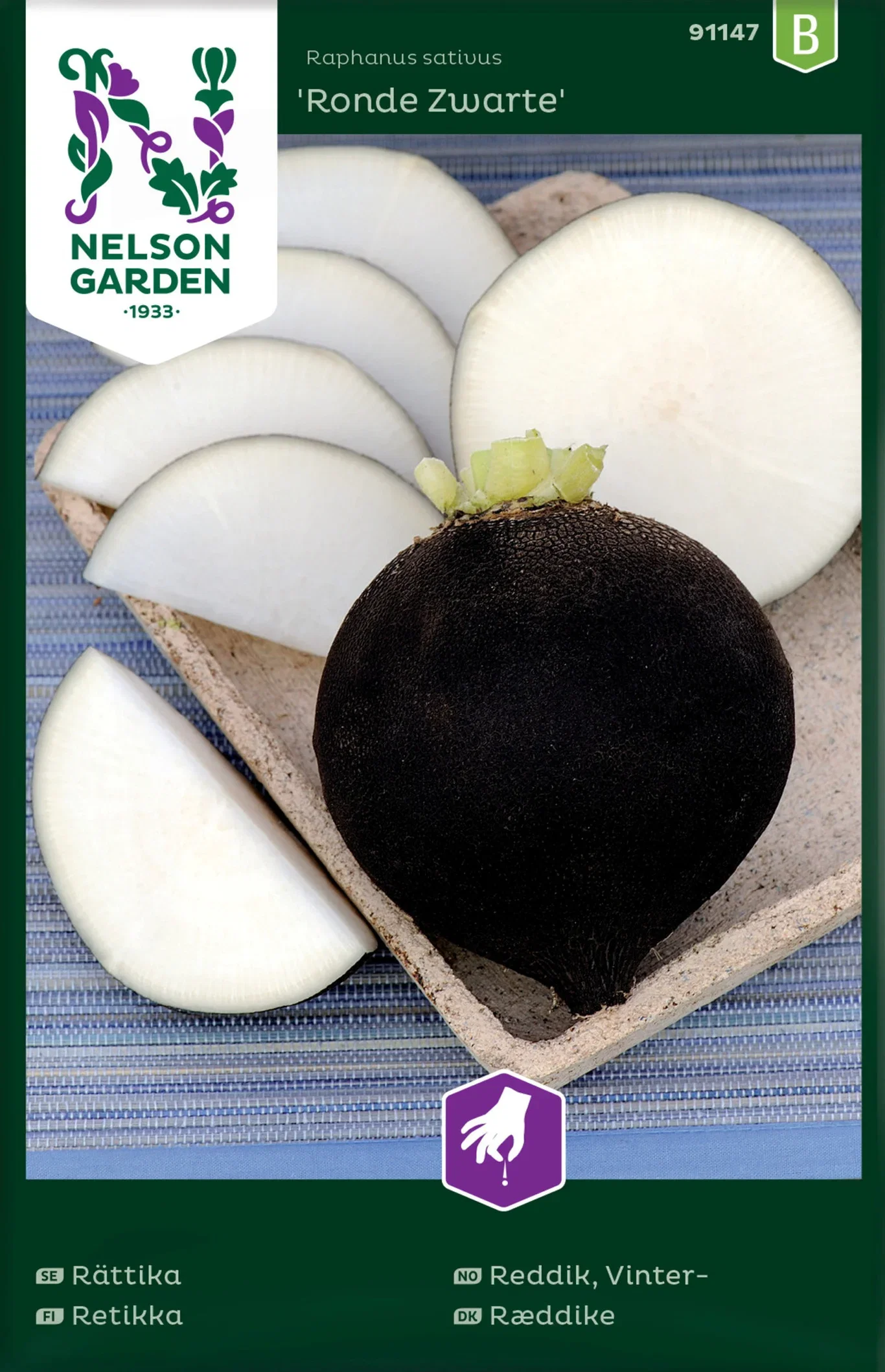 Rättika 'Ronde Zwarte'