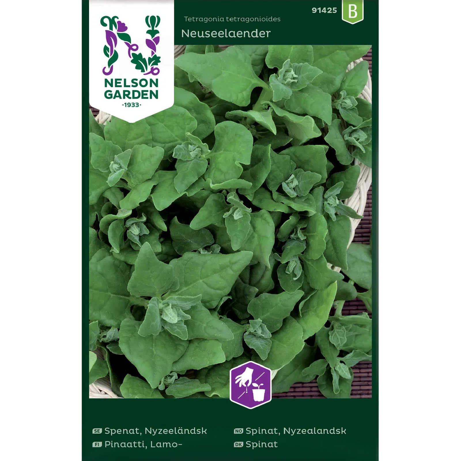 Nyzeeländsk spenat 'Neuseelaender'
