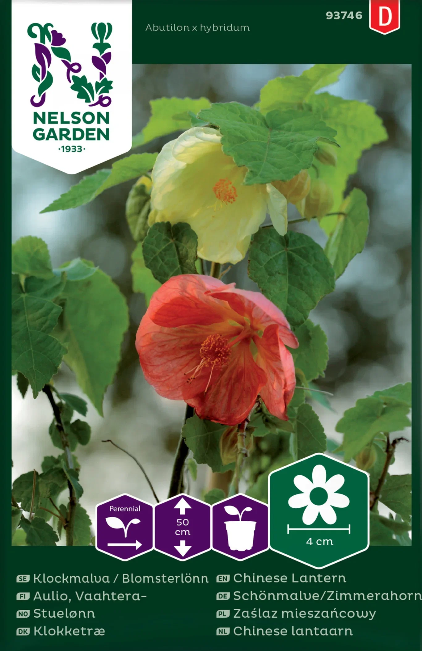 Klockmalva / Blomsterlönn mix