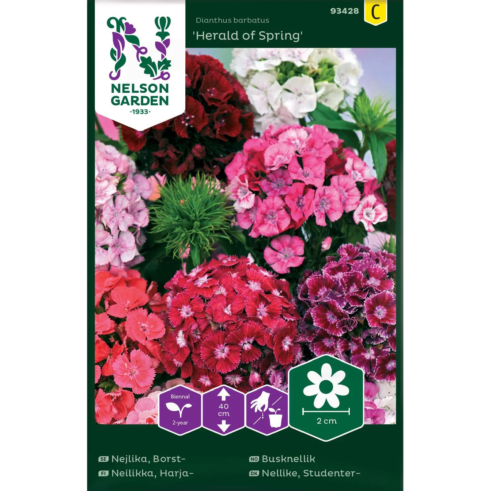 Borstnejlika 'Herald of Spring'