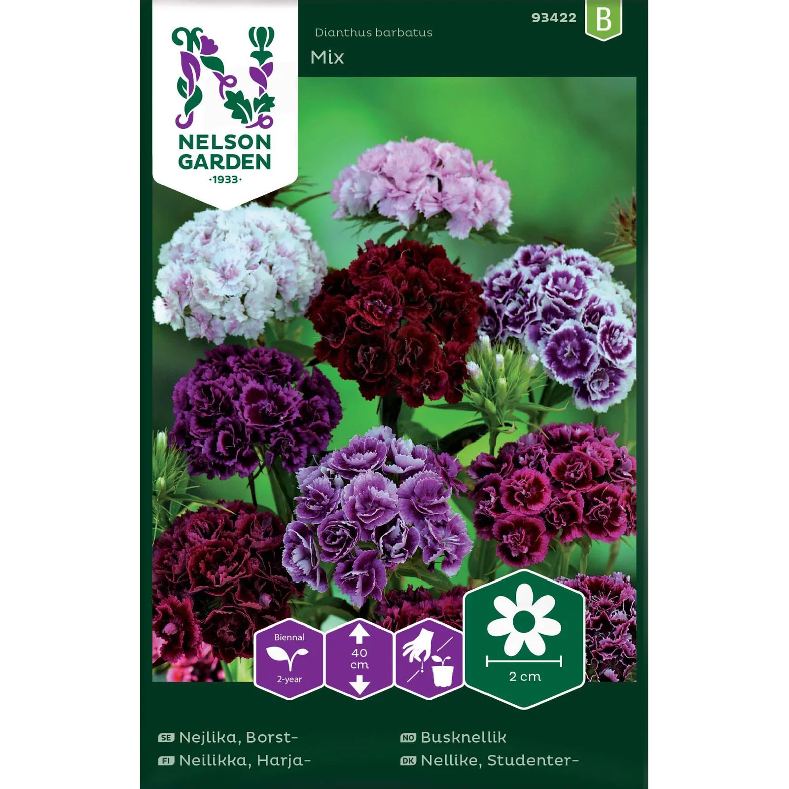 Nejlika, Borst-, Dubbel, bl fä