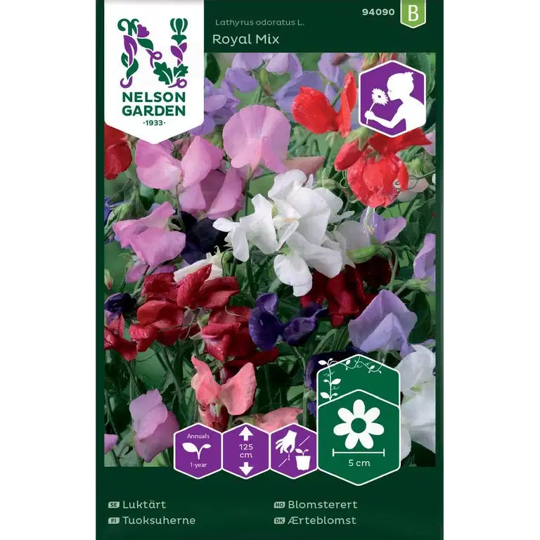 Luktärt, Royal, bl.färger.