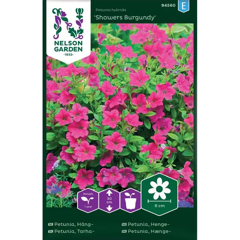 Petunia, Häng-, Showers Burgun