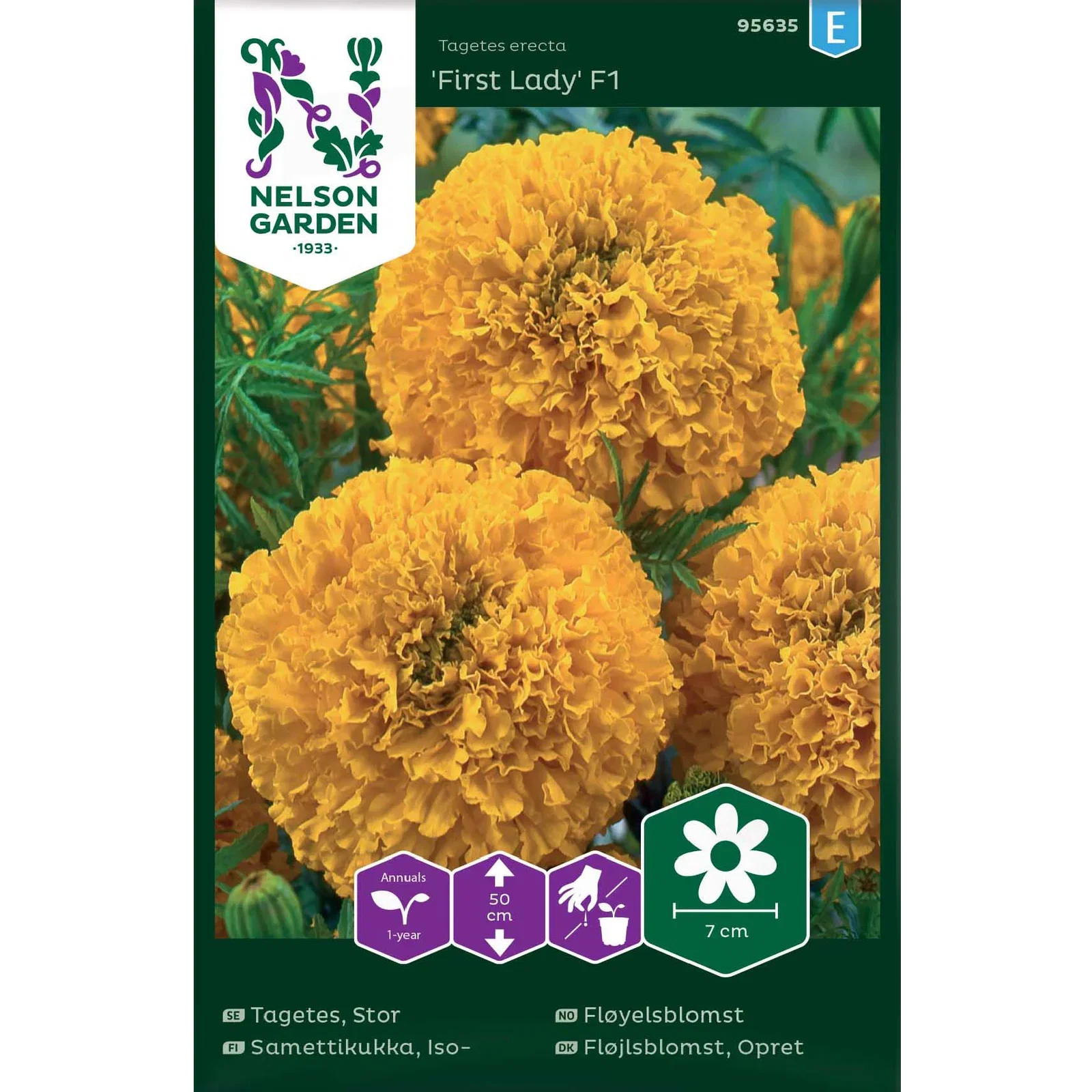 Stor tagetes 'First Lady' F1