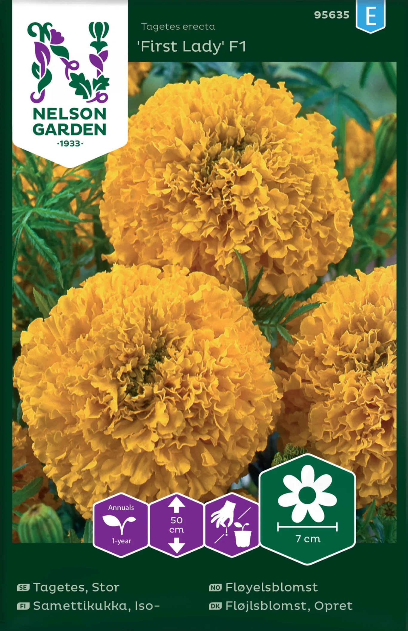 Stor tagetes 'First Lady' F1