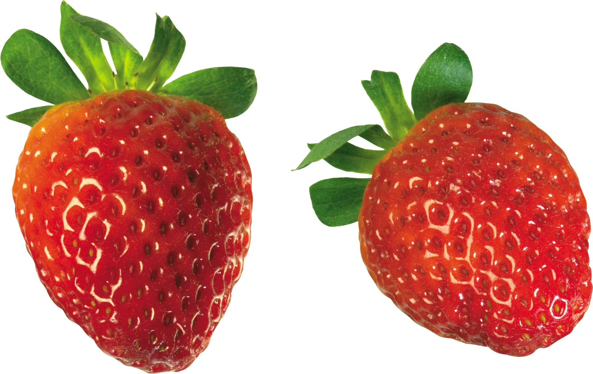 Fragaria x ananassa 'Delizz' h. basket 25cm