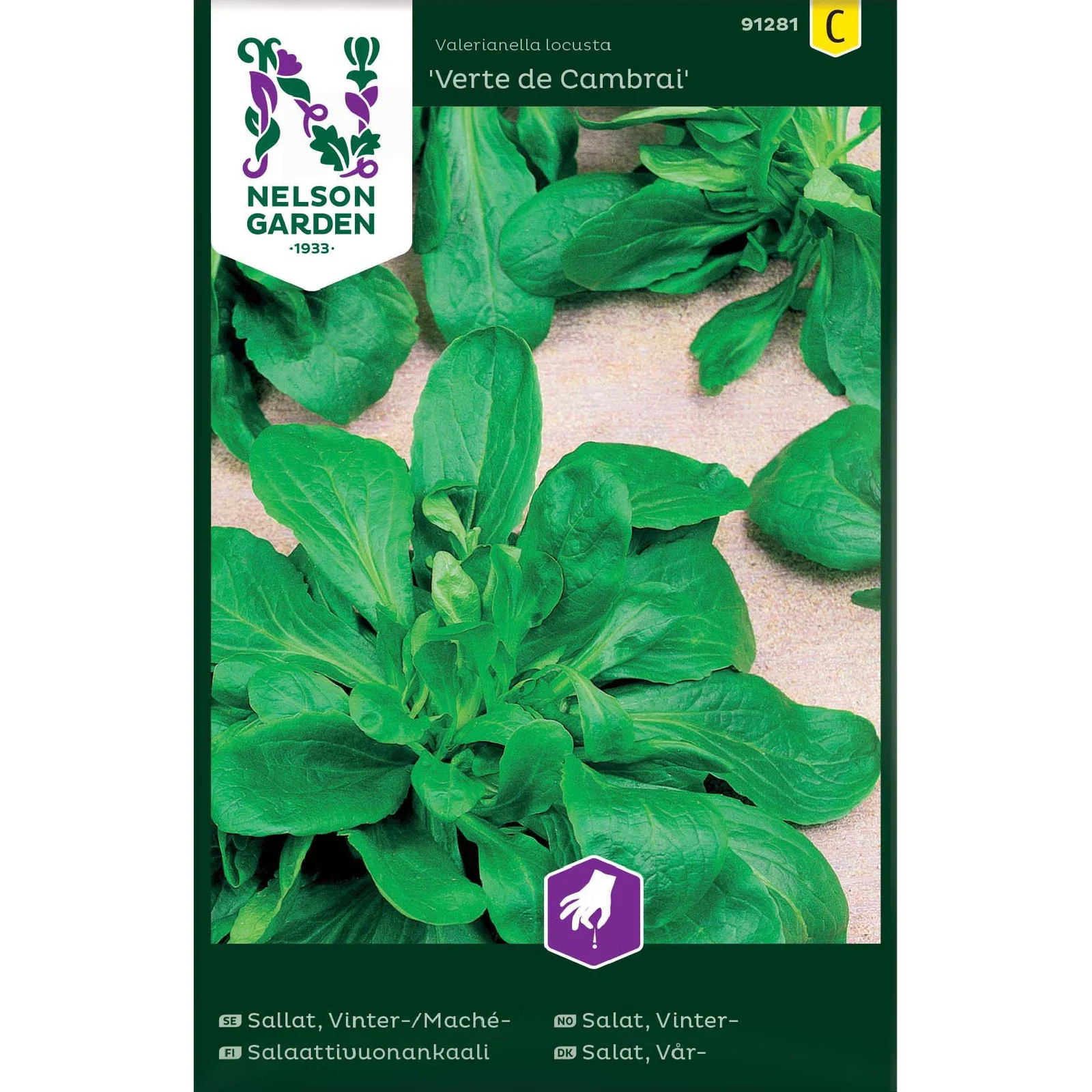 Sallat, Vinter- / Mache, Vert