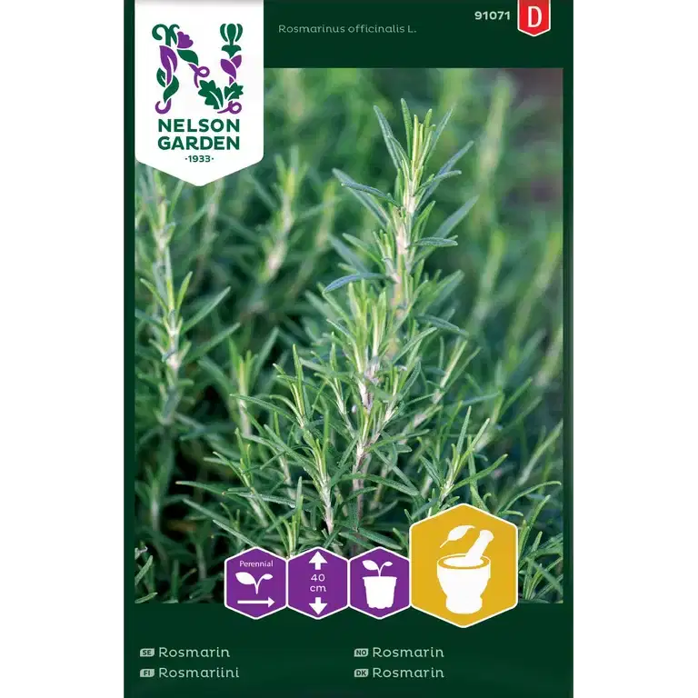 Rosmarin