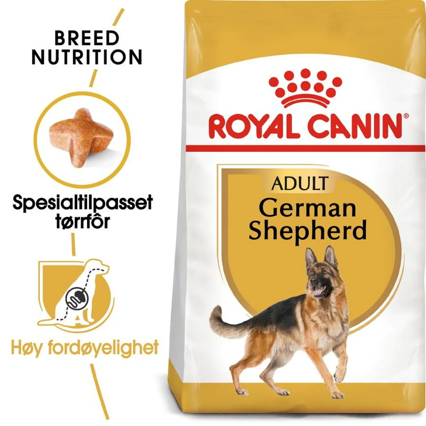 German Shepherd Adult
