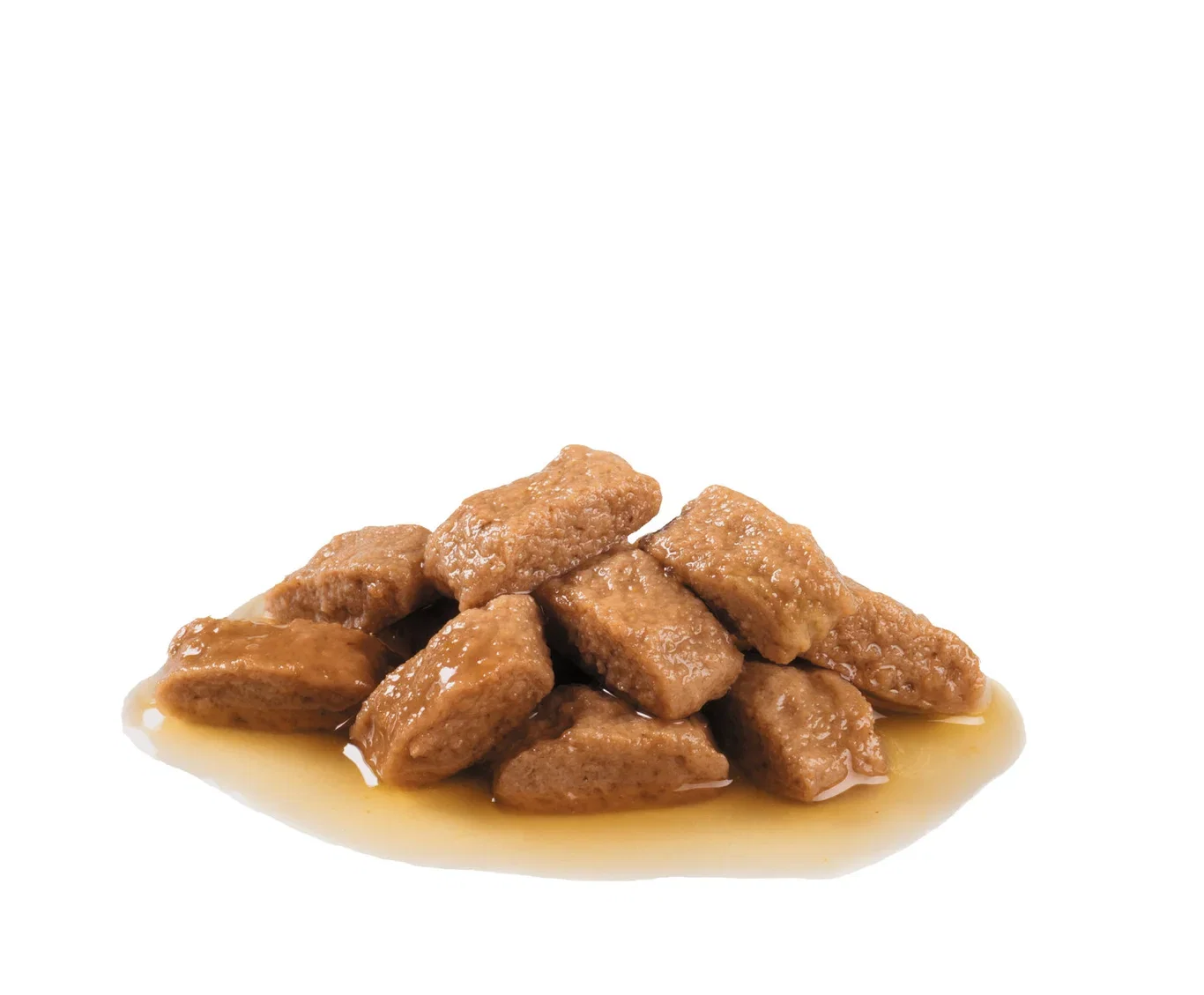 SHN Medium Adult 10x140g