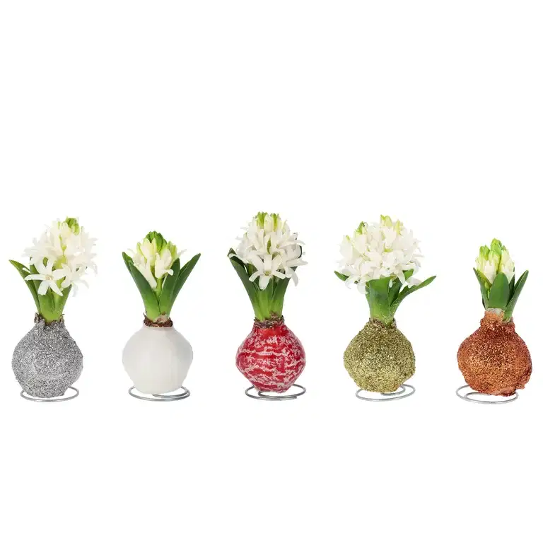 Hyacinthus wax 17+ with steel