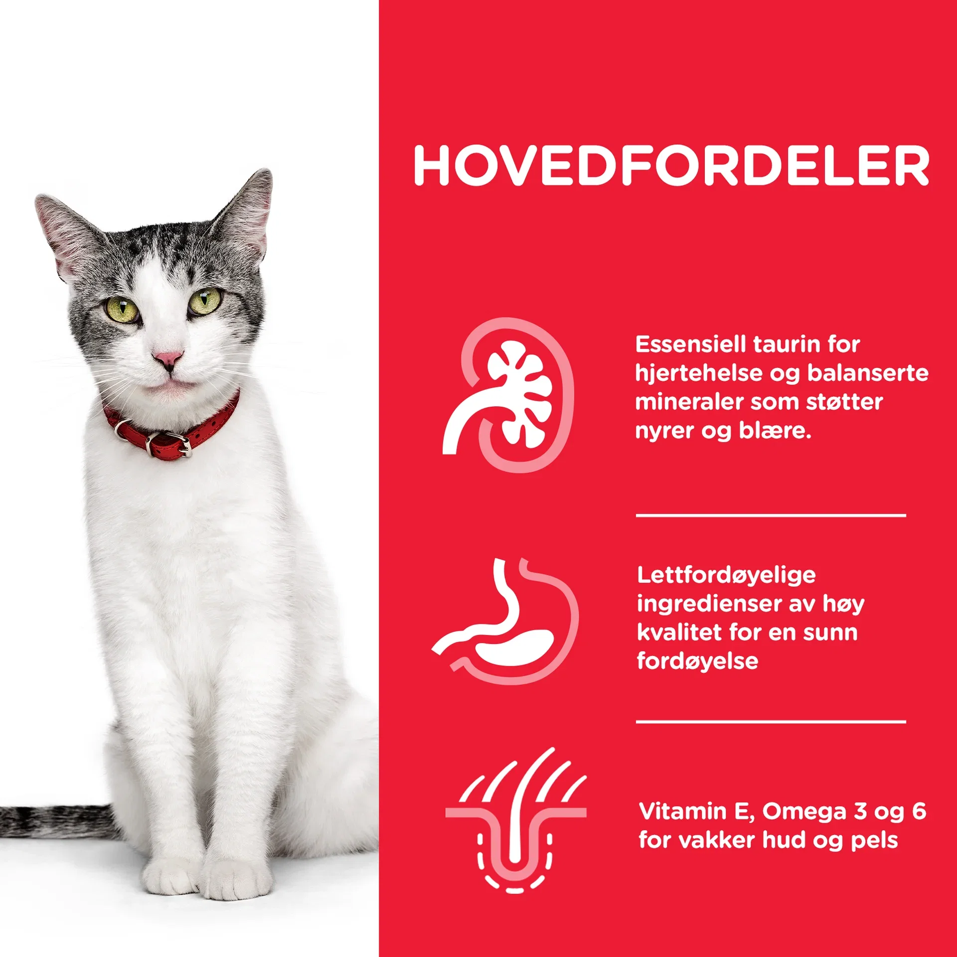 SP Feline Senior Chicken 1.5kg