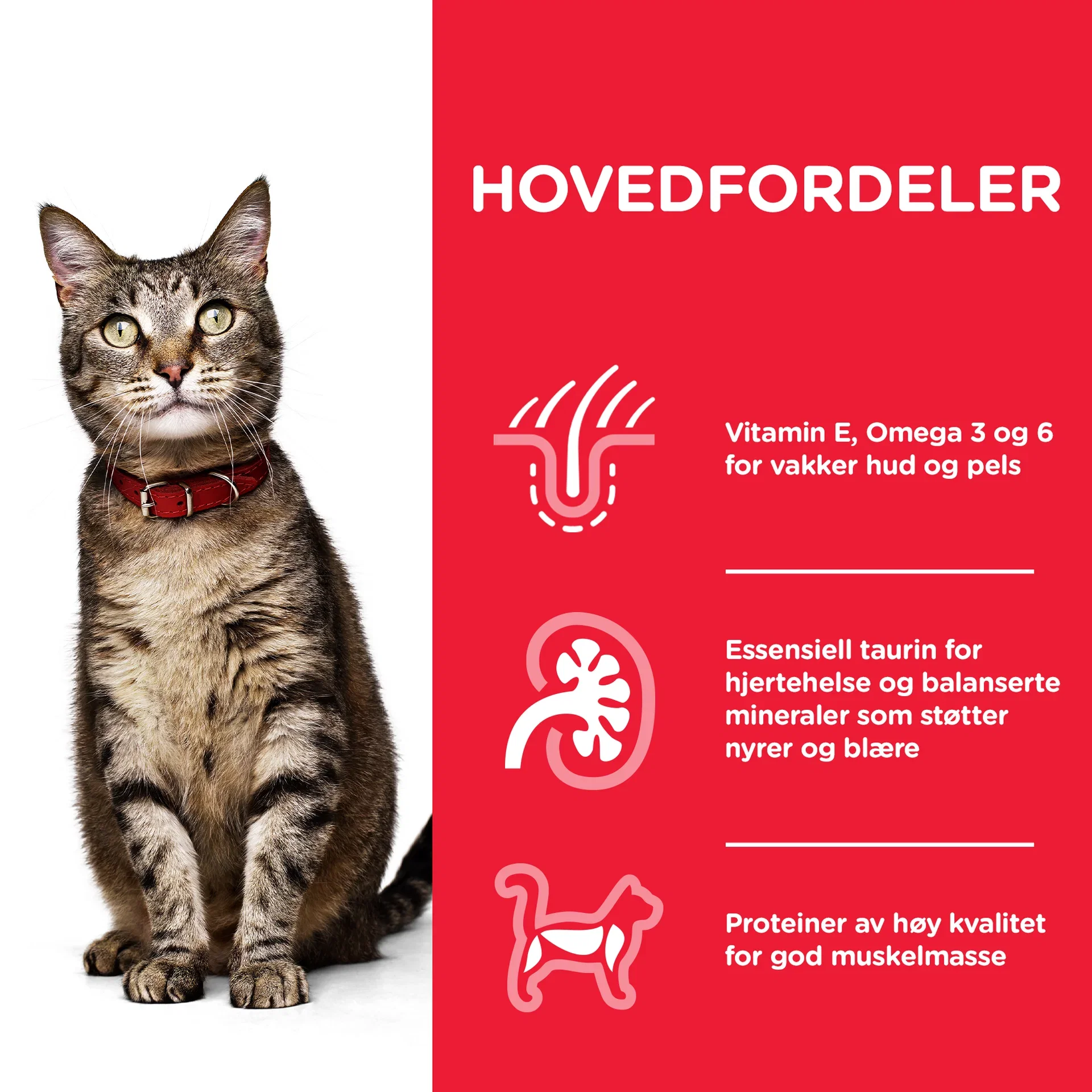 SP Adult chicken 1,5 kg