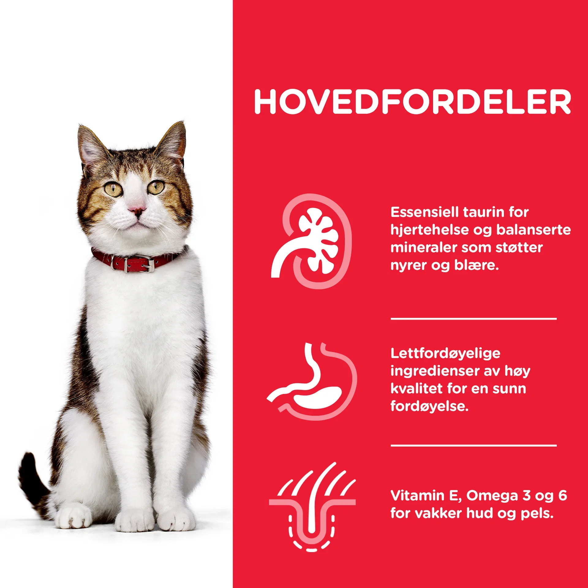 SP Mature Adult Kylling 1,5 kg