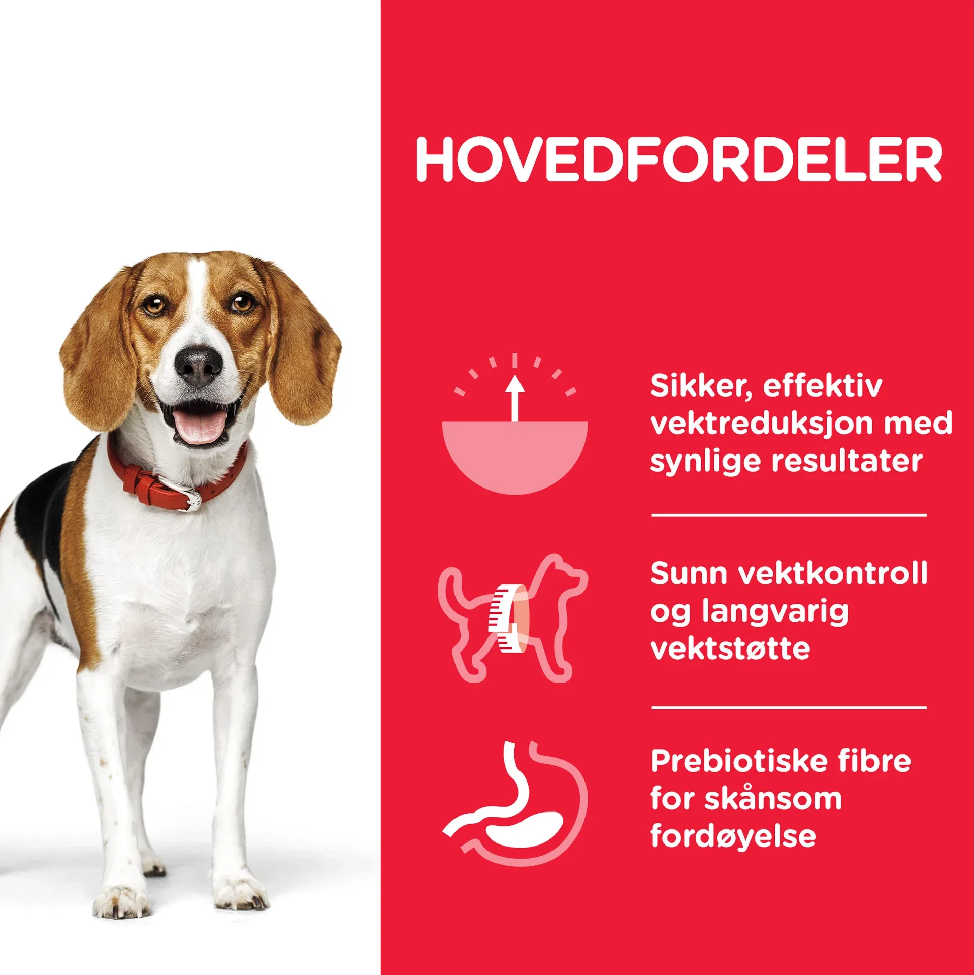 SP Canine Adult Perfect Weight Medium Chicken 12kg