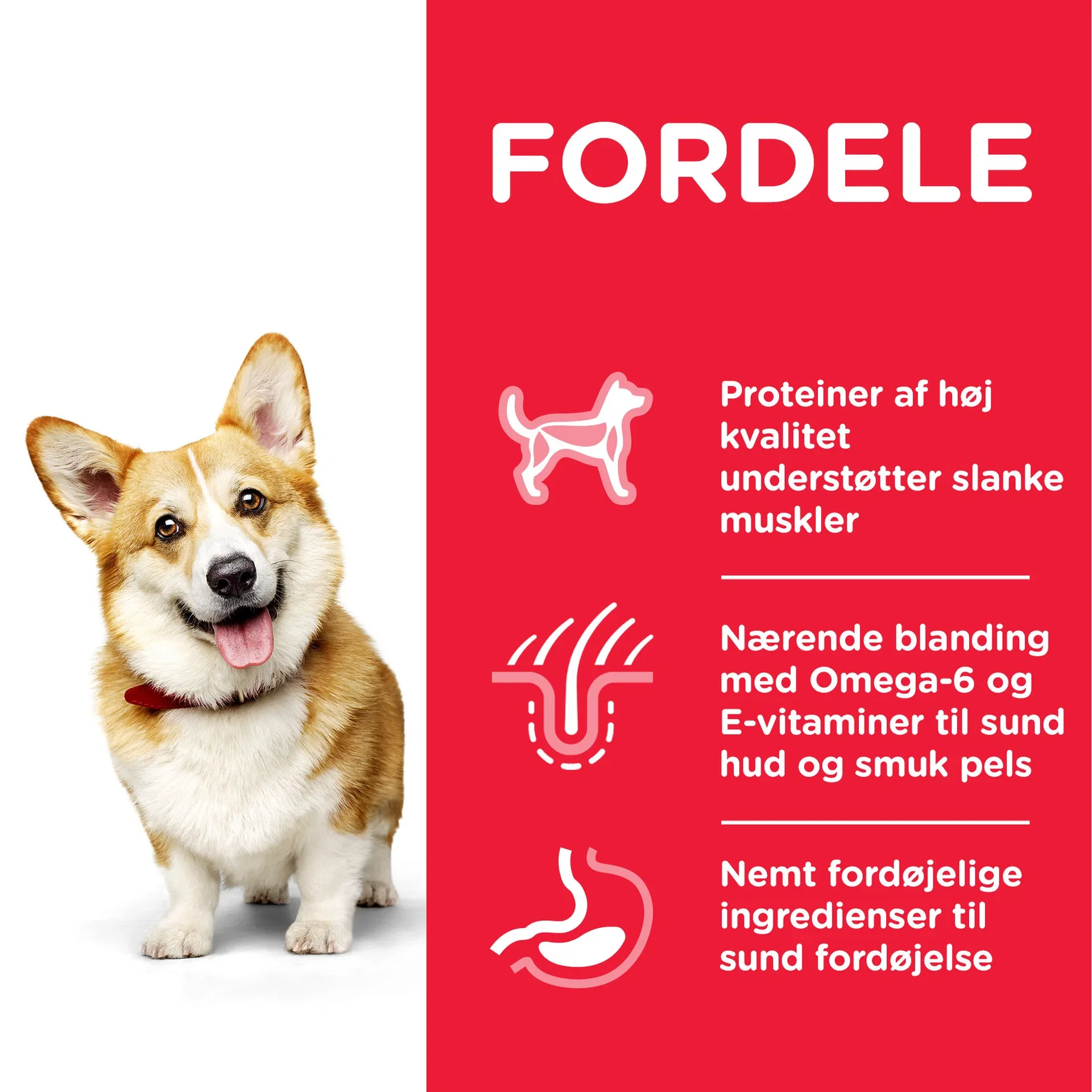 SP Canine Adult Small&Mini Chicken 6kg