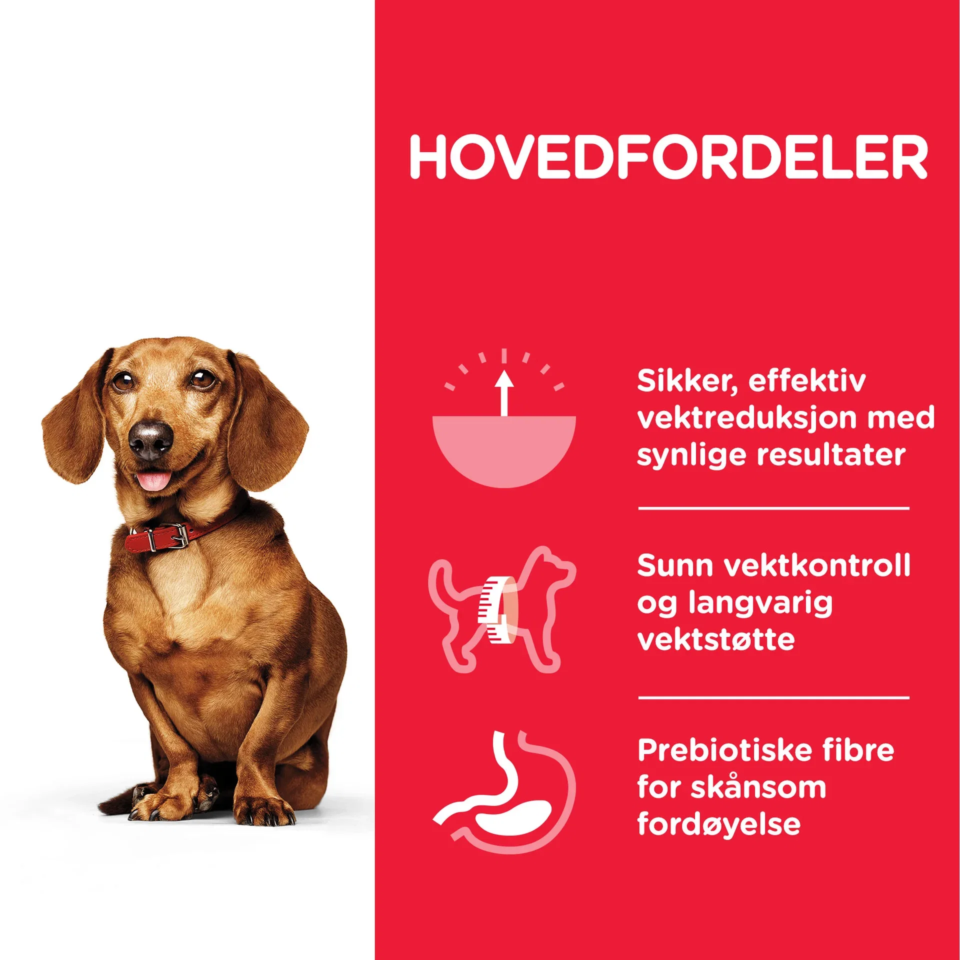 SP Canine Adult Perfect Weight Small&Mini Chicken 6kg