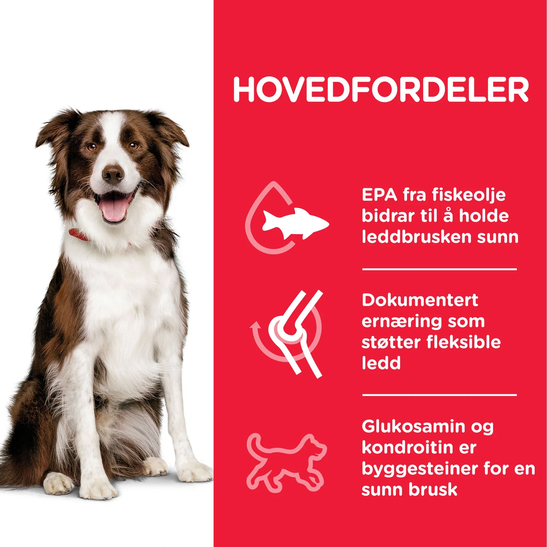 SP Canine Adult Healthy Mobility Medium Chicken 2.5kg