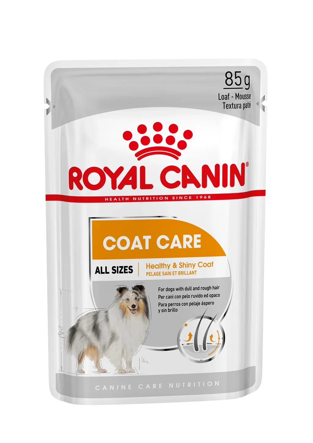Royal Canin Coat Care Adult Paté