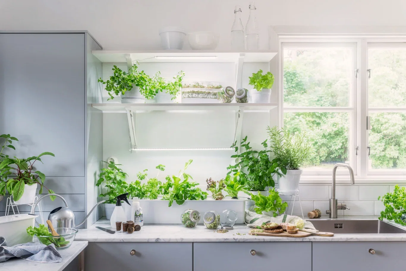 Harvy Hydroponic culture kit W