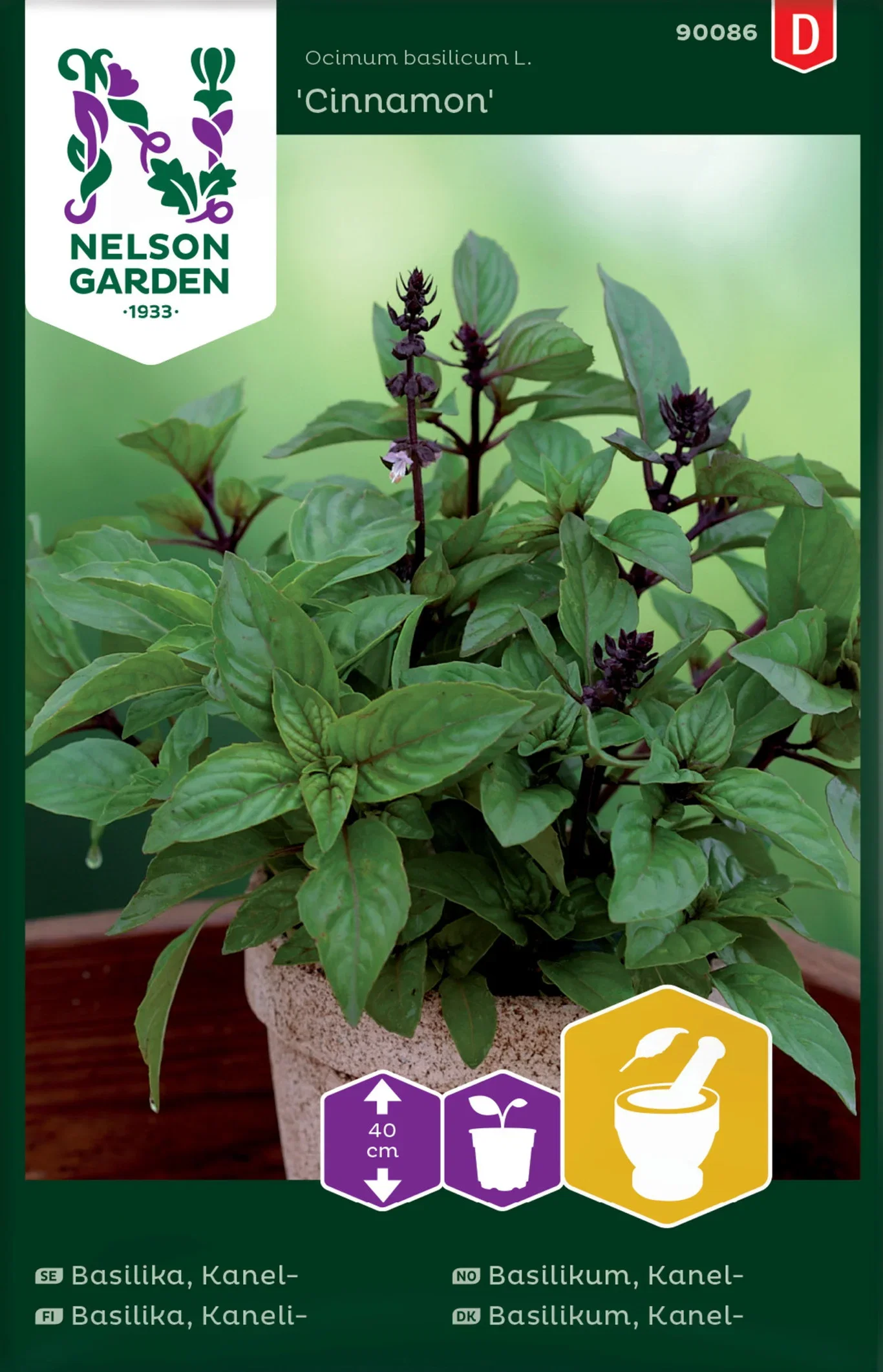 Kanelbasilika 'Cinnamon'