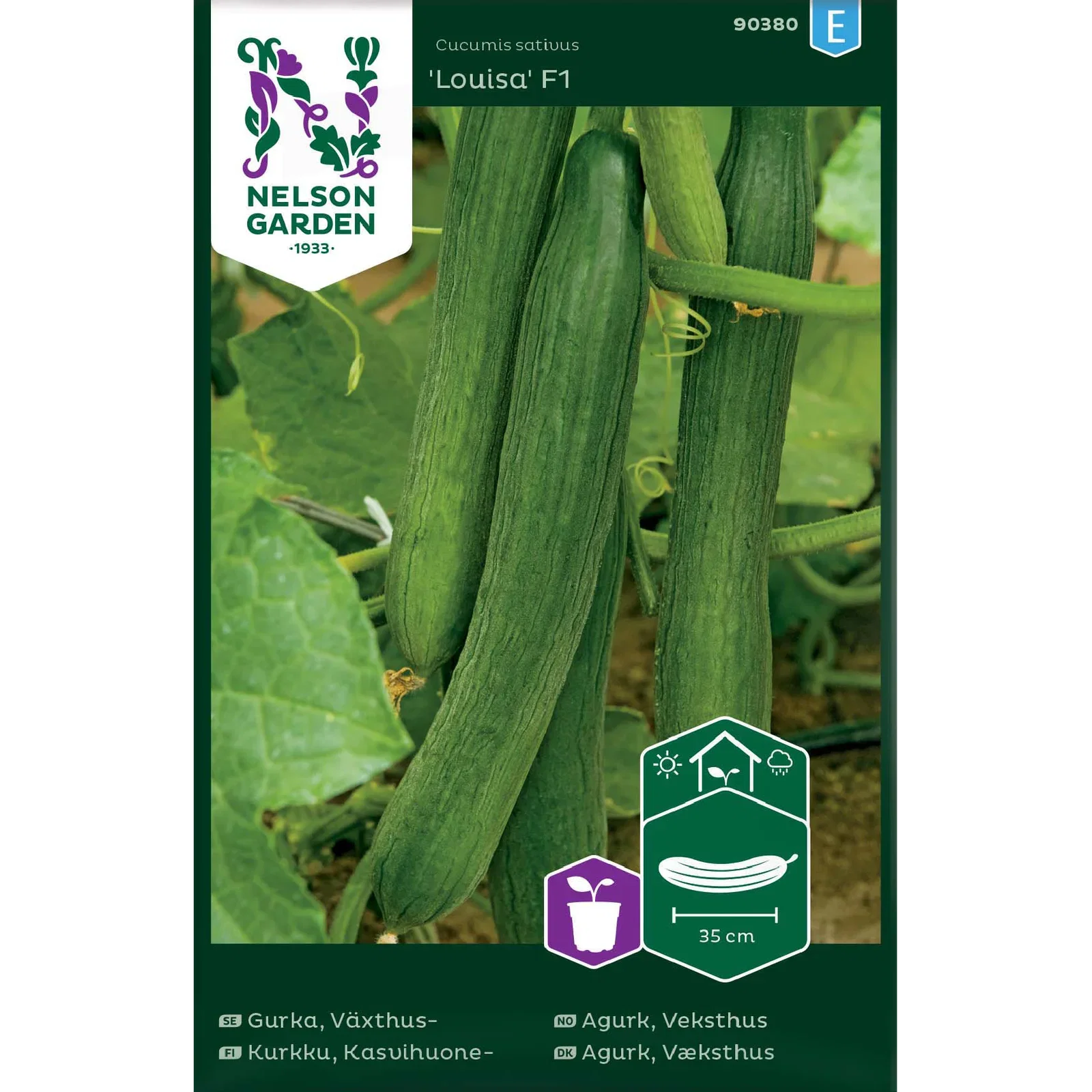 Växthusgurka 'Louisa'