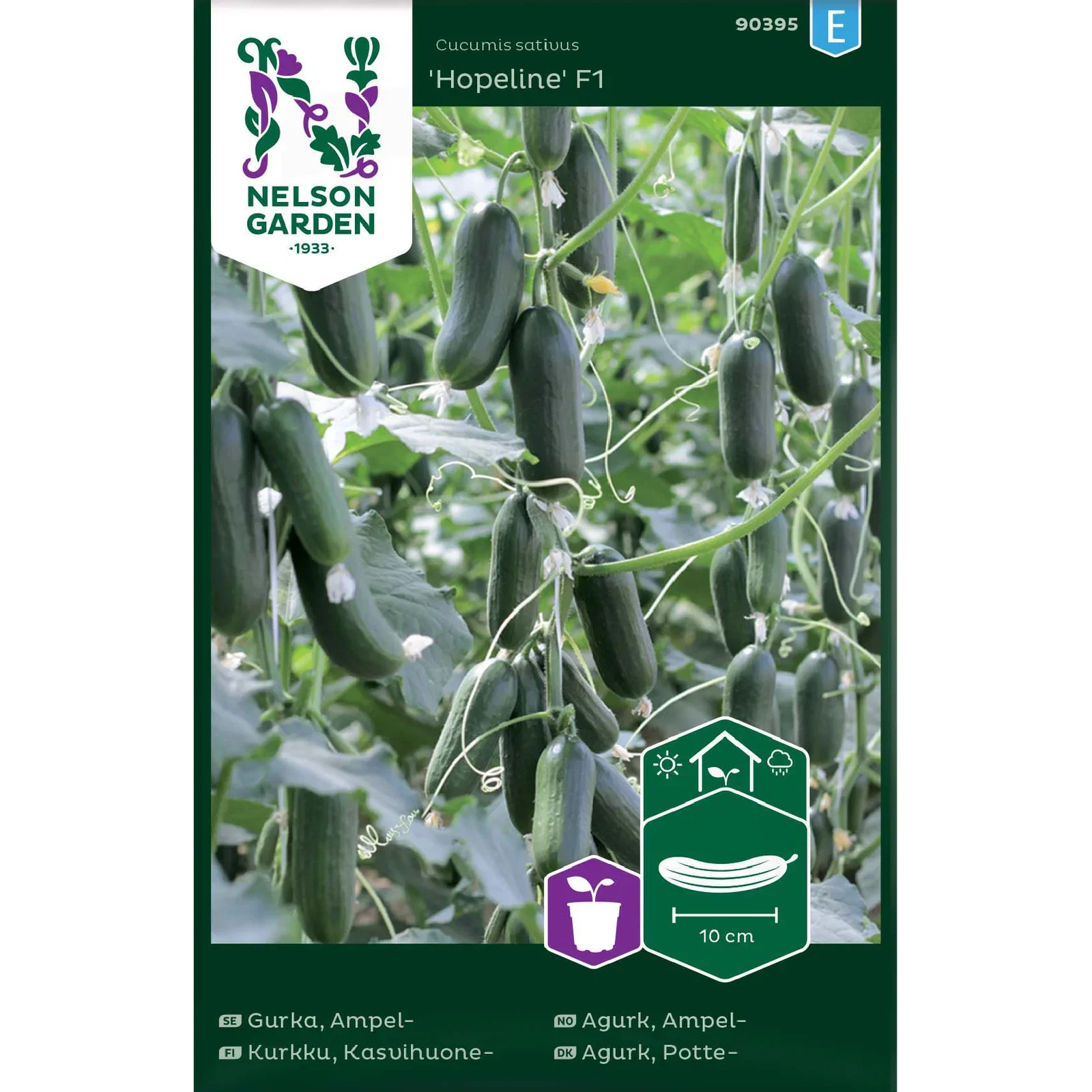 Ampelgurka 'Hopeline'