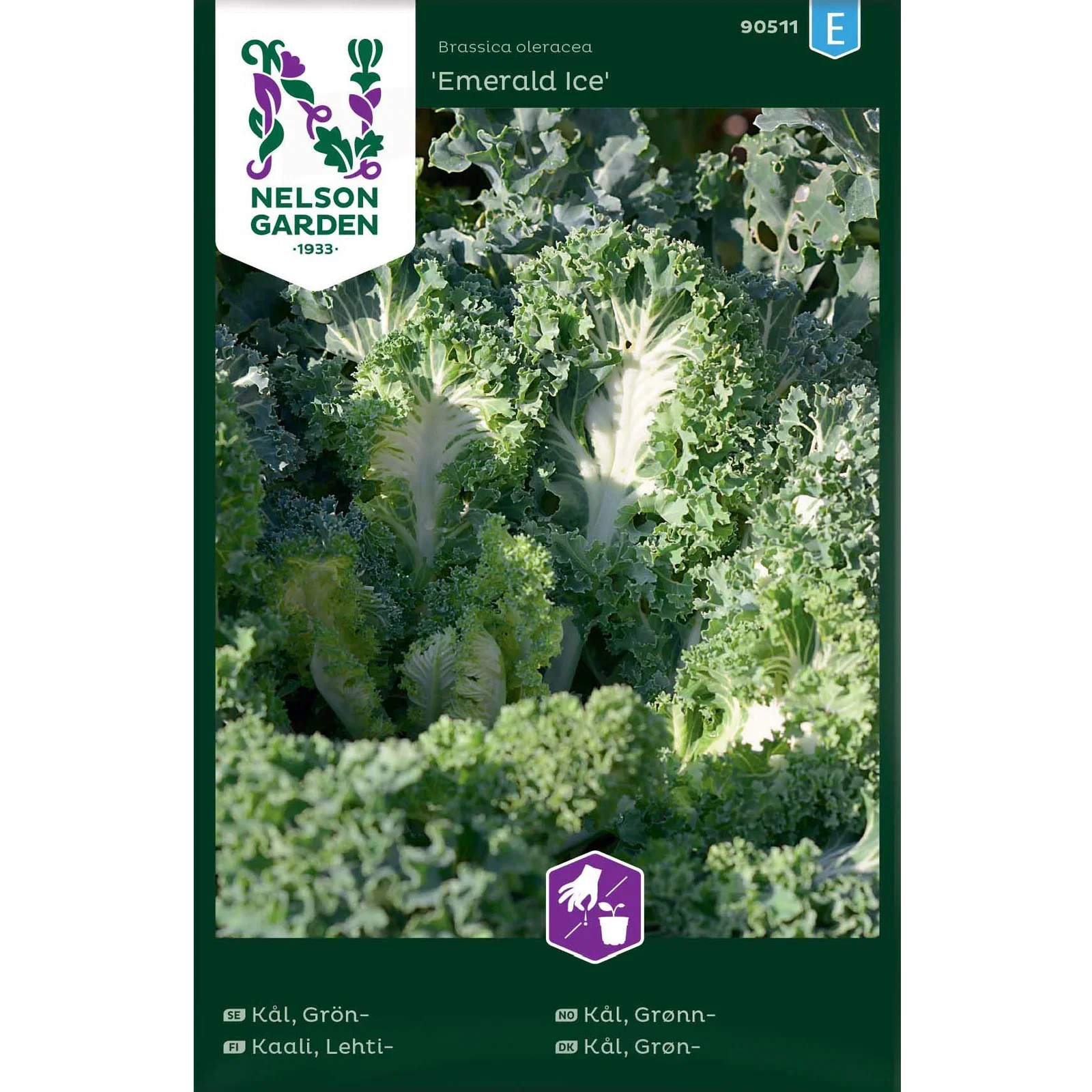 Grönkål 'Emerald Ice'