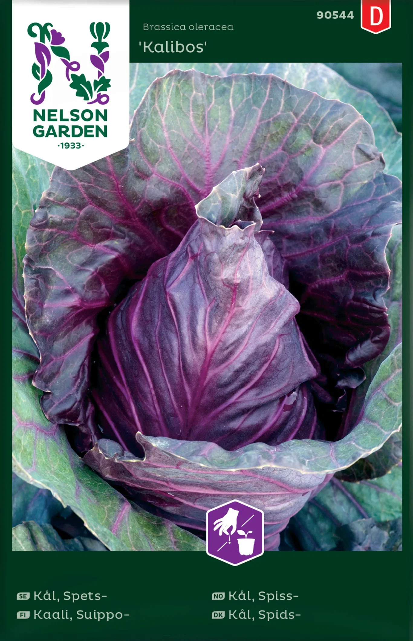 Spetskål 'Kalibos'