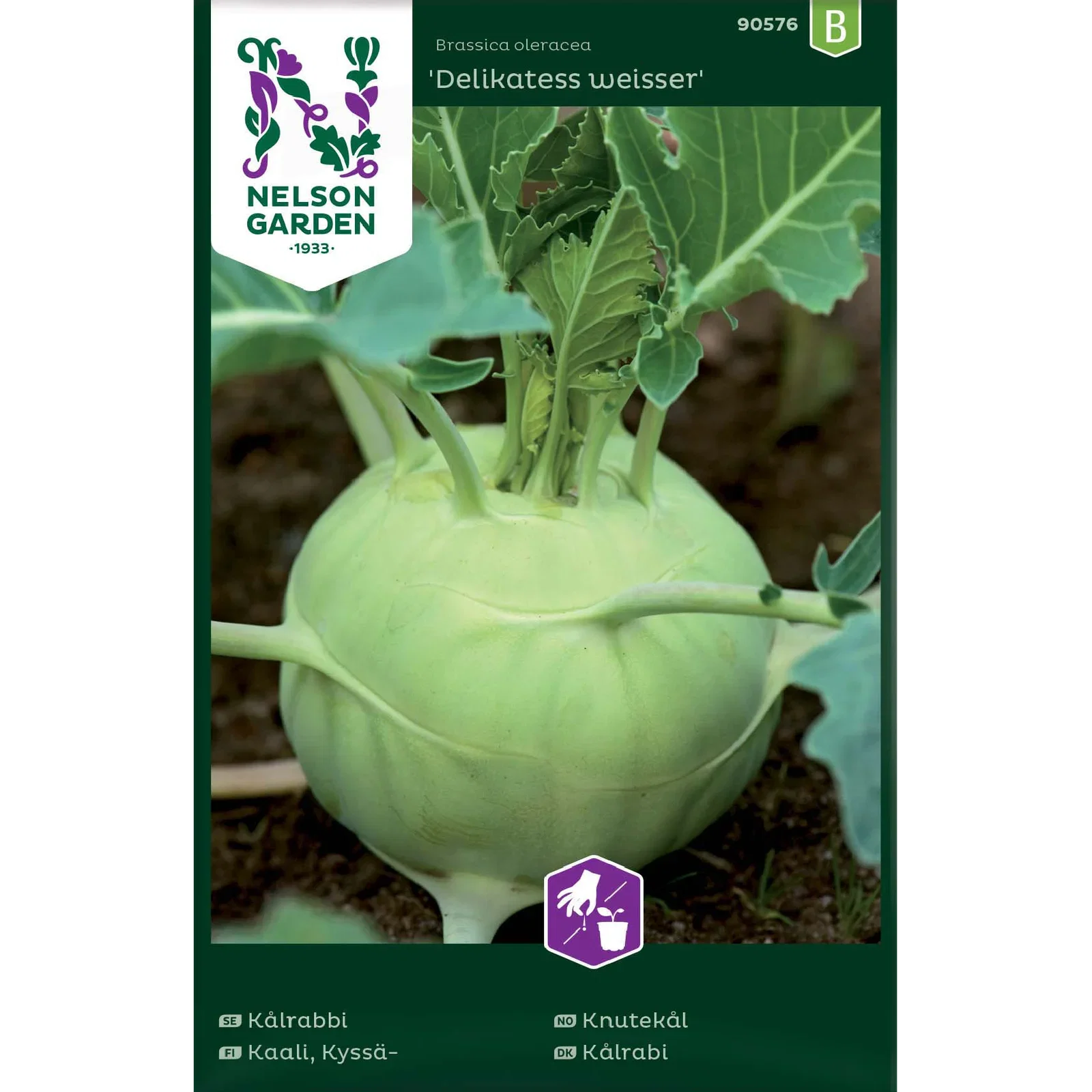 Kålrabbi, Delikatess weisser