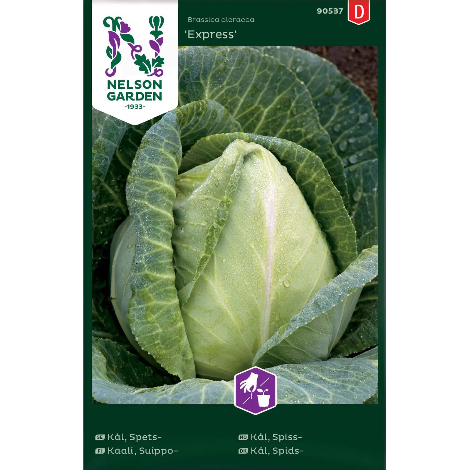 Spetskål 'Express'
