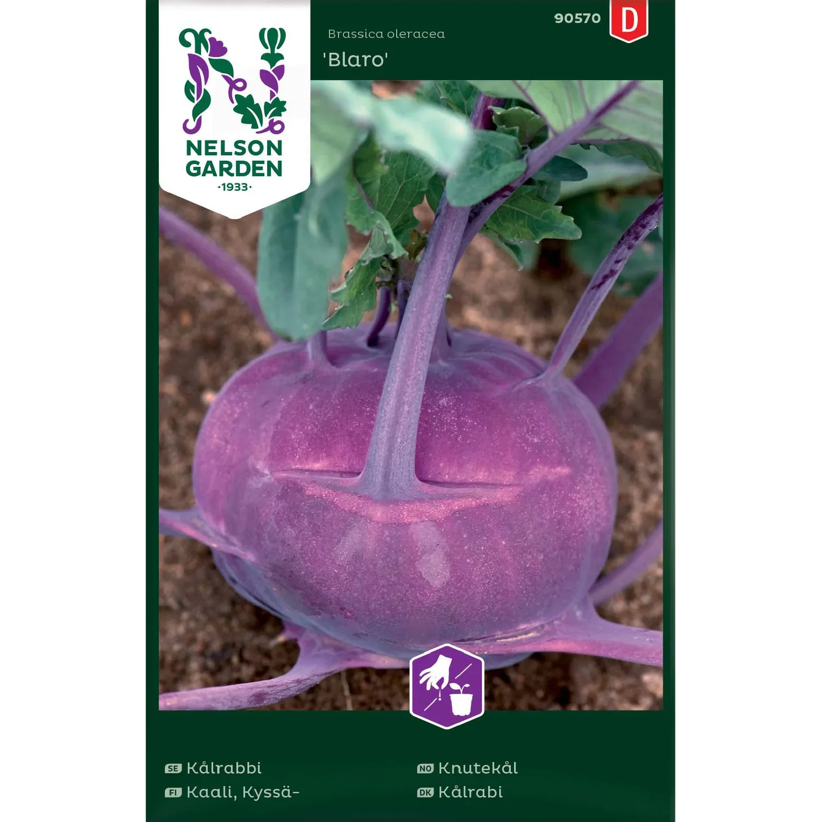 Kålrabbi, Blaro, violett