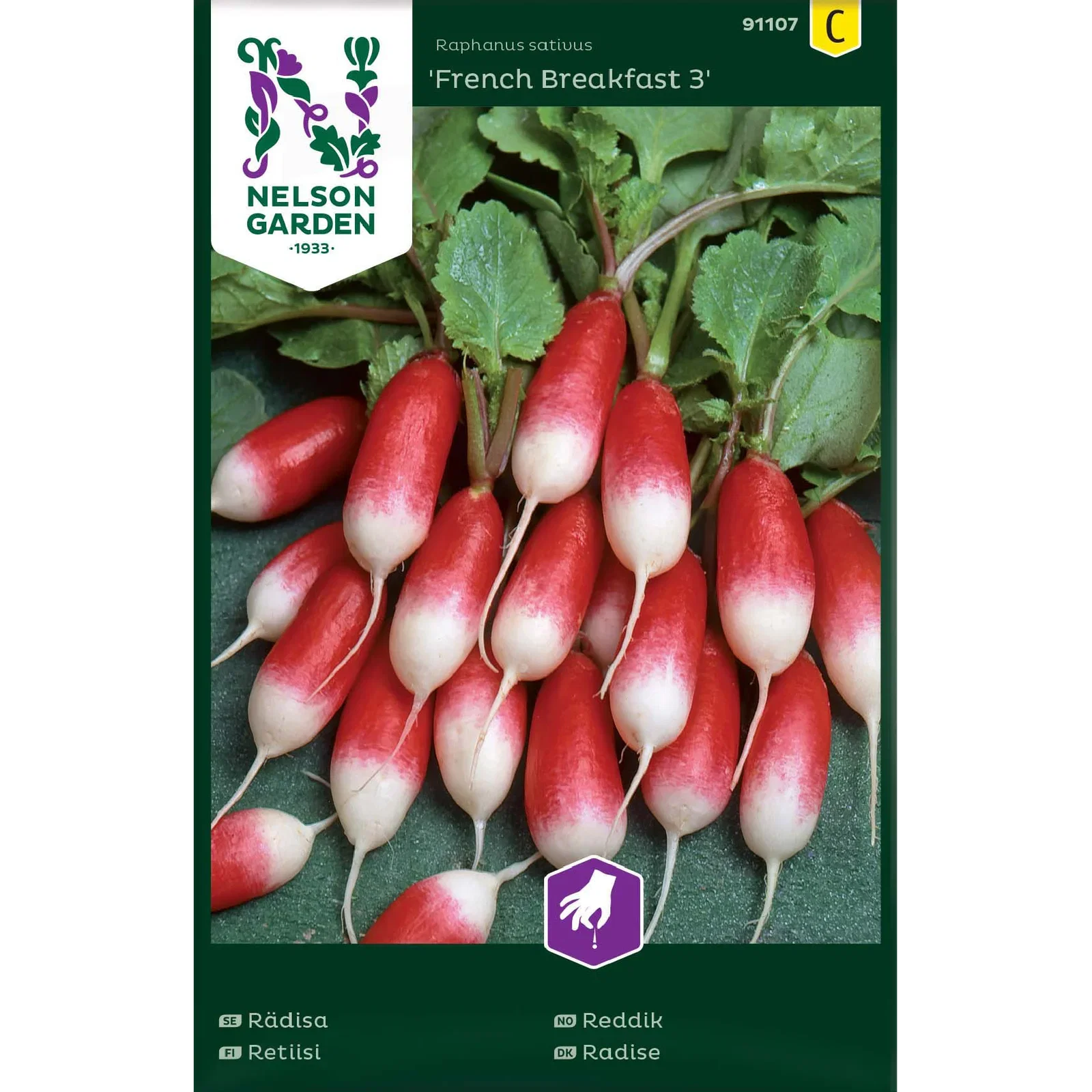 Rädisa 'French Breakfast 3'