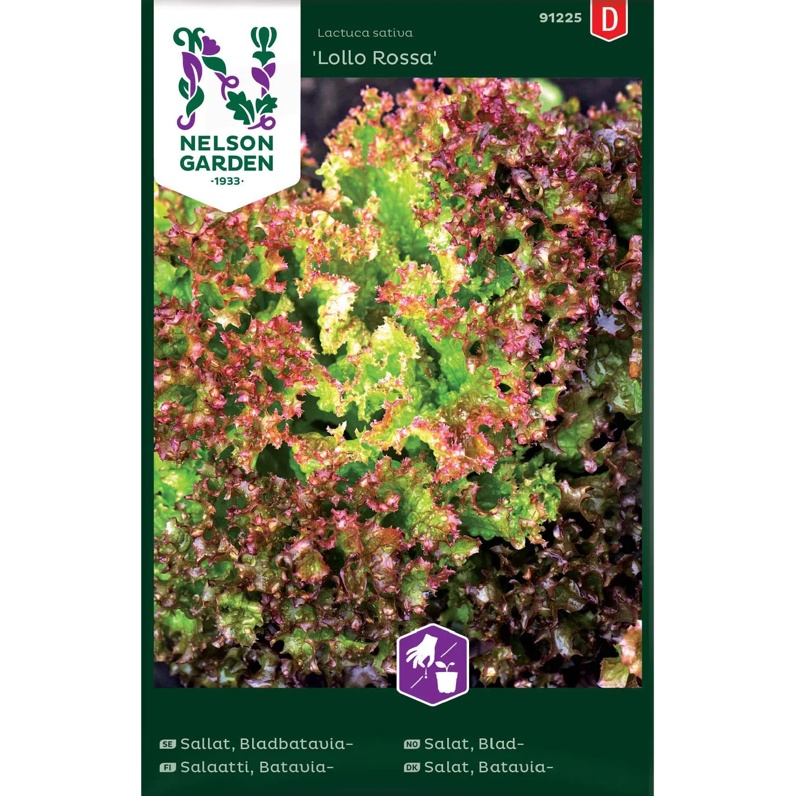 Bladbataviasallat 'Lollo Rossa'