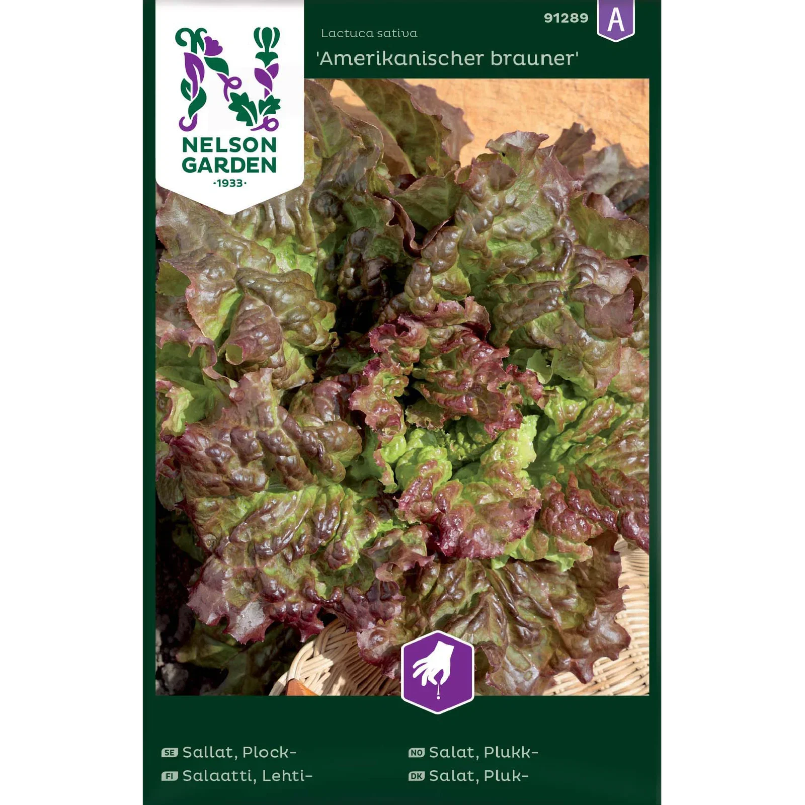 Sallat, Plock-, Amerikanischer