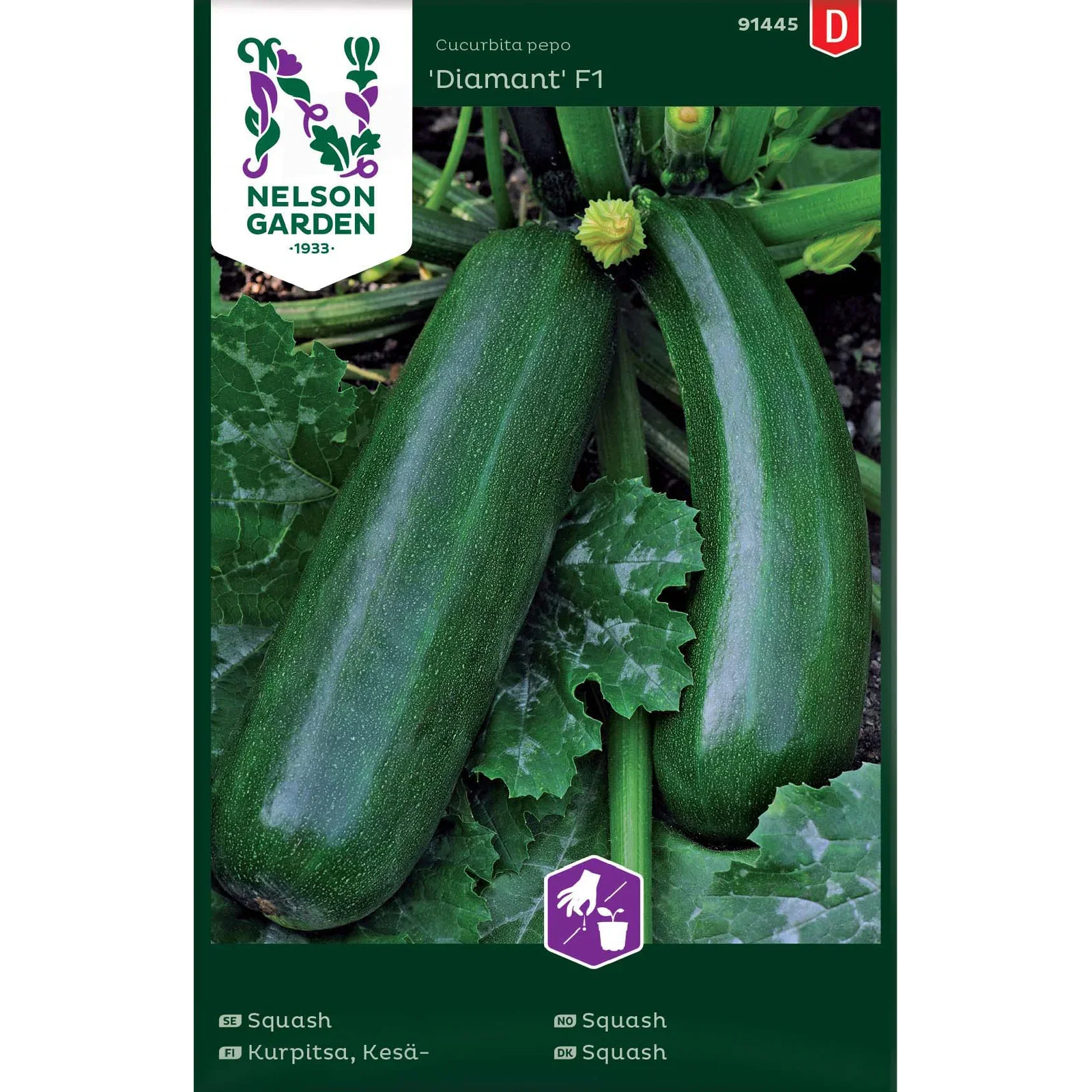 Squash 'Diamant'