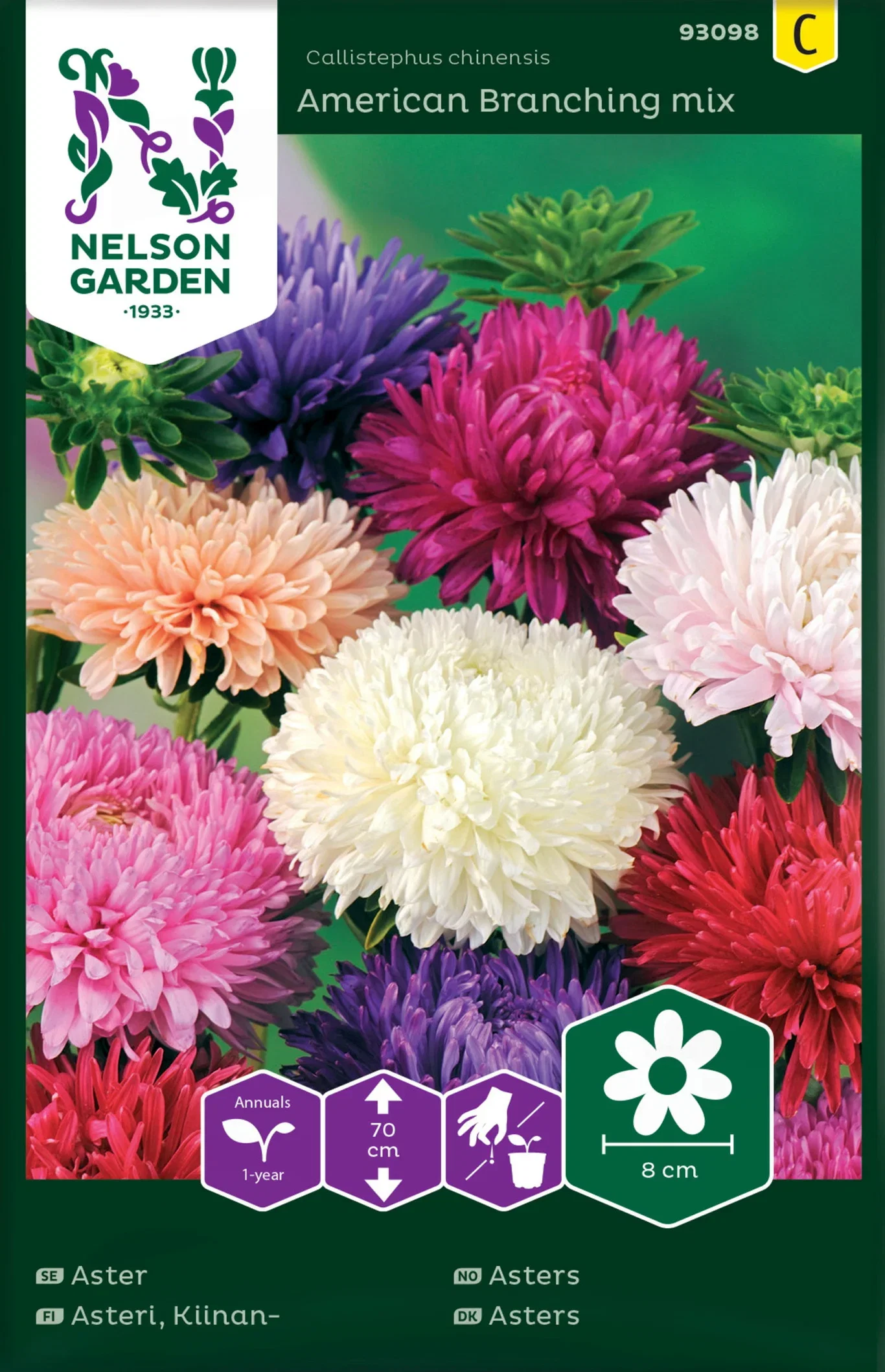 Sommaraster American Branching mix